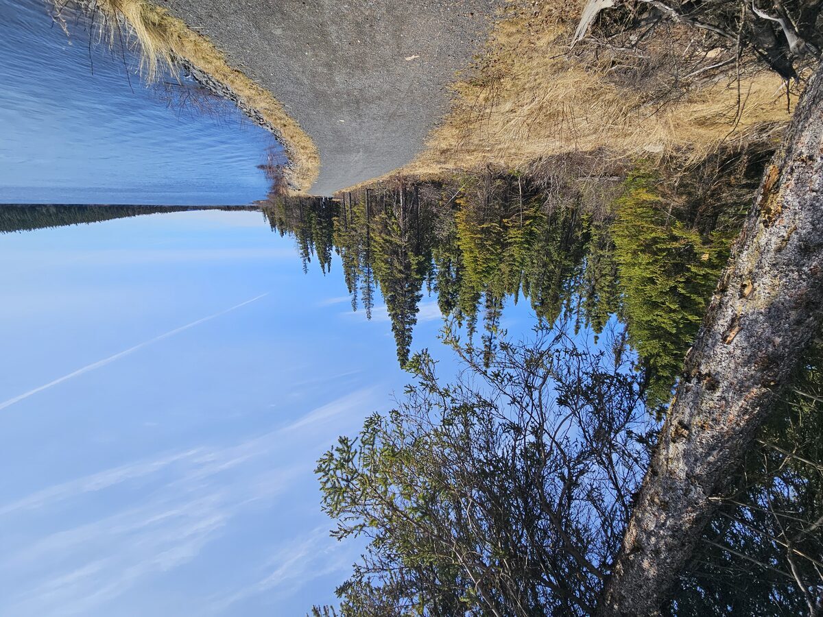 Labrador landscape
